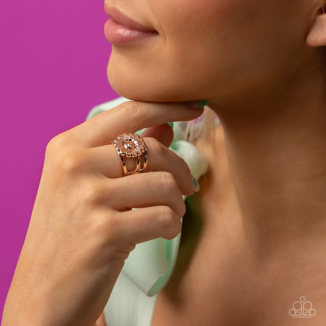 Roadside Daisies - Rose Gold